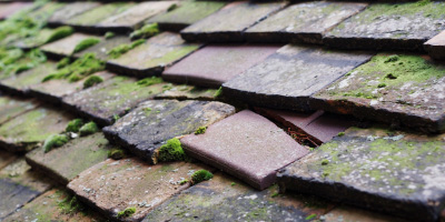 Sapperton roof repair costs